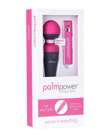 Palm Power Plug & Play