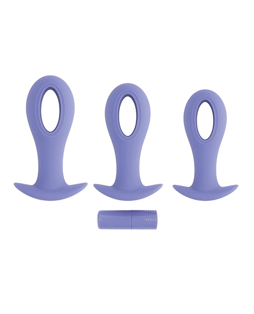 Evolved Hole Punch Anal Plug Set - Purple Set of 3