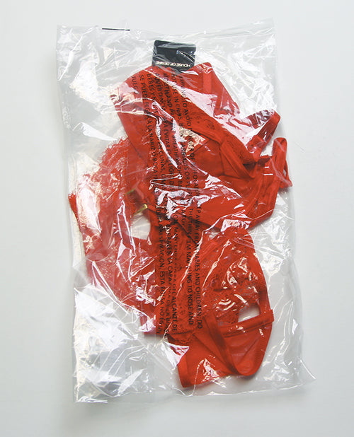 Nadia Lace & Mesh Cutout Teddy - Grenadine Dark Orange 1X/2X