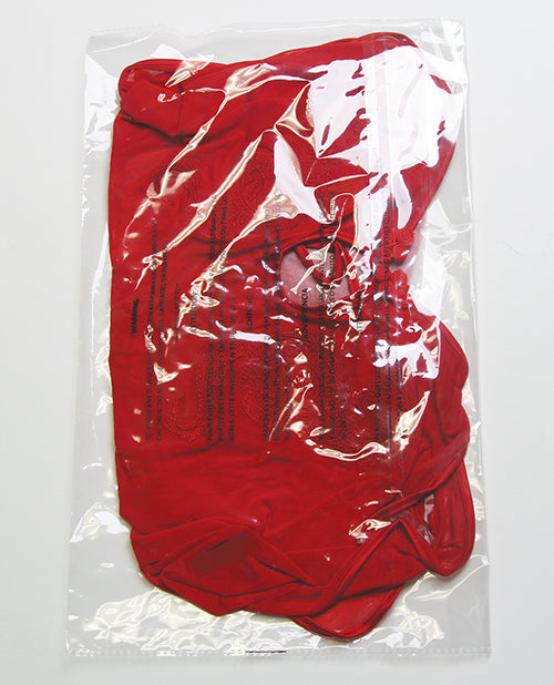 Dragon Mesh & Applique Chemise w/G-String 2 pc Set - Red MD
