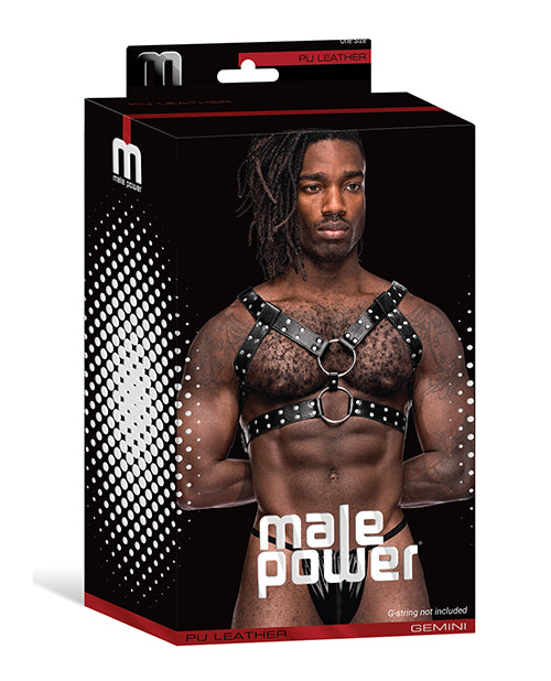 leather-gemini-double-ring-harness-black-os image