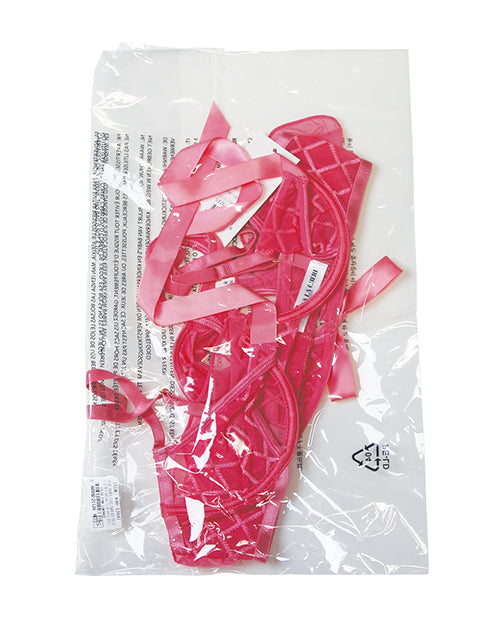 Aubrielle Diamond Mesh Underwire Bra w/Thong 2 pc Set - Pink LG