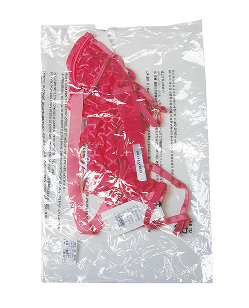 Aubrielle Diamond Mesh Underwire Teddy - Pink 2X