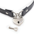 plesur-pvc-collar-wheart-lock-black image