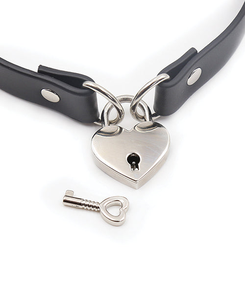 plesur-pvc-collar-wheart-lock-black image