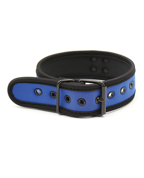 plesur-neoprene-puppy-collar-blue image