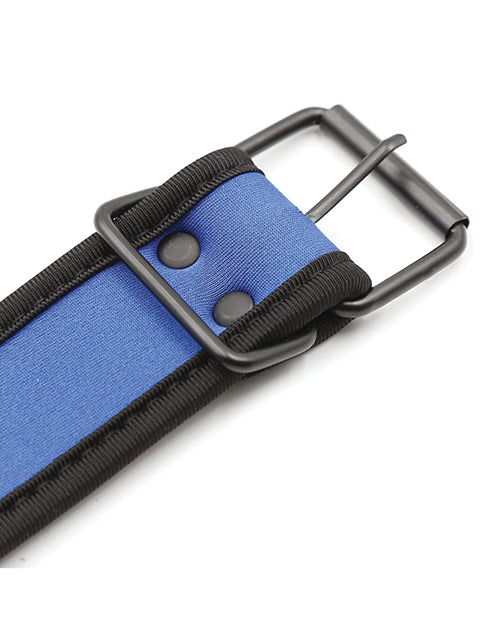 plesur-neoprene-puppy-collar-blue image