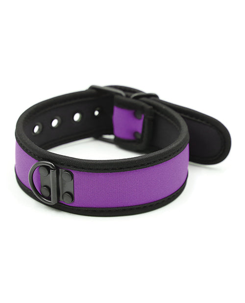 plesur-neoprene-puppy-collar-purple image