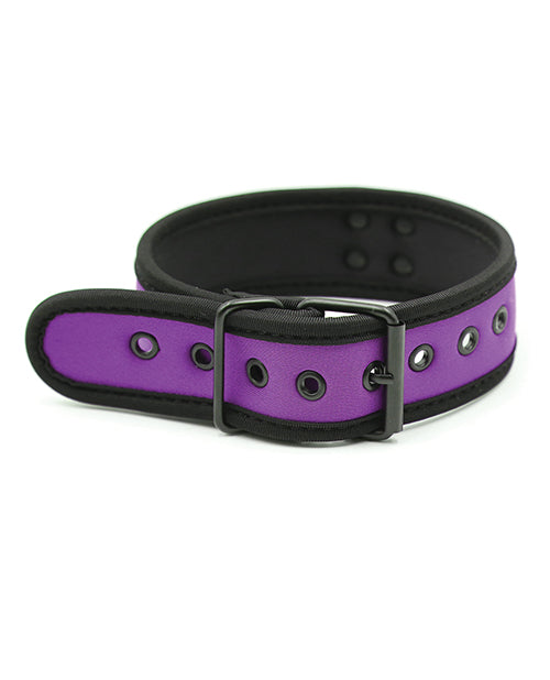 plesur-neoprene-puppy-collar-purple image