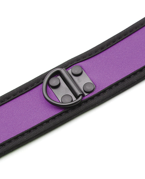 plesur-neoprene-puppy-collar-purple image