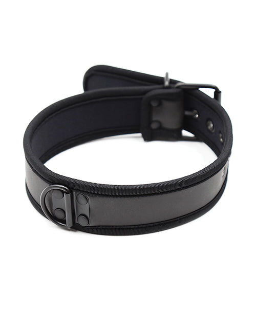 plesur-neoprene-puppy-collar-black image