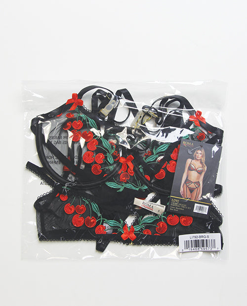 Cherry Delight Embroidered Lace and Mesh Underwire Bra w/Garter & G-String 3 pc Set - Black MD