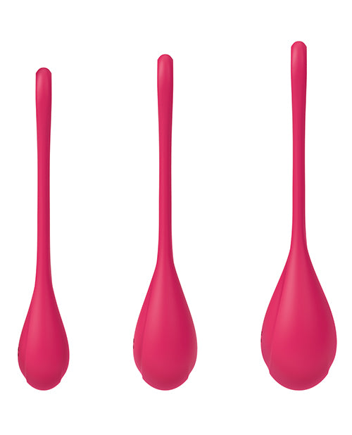 satisfyer-yoni-power-1-balls-training-set-red image