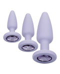 first-time-crystal-booty-kit-purple image