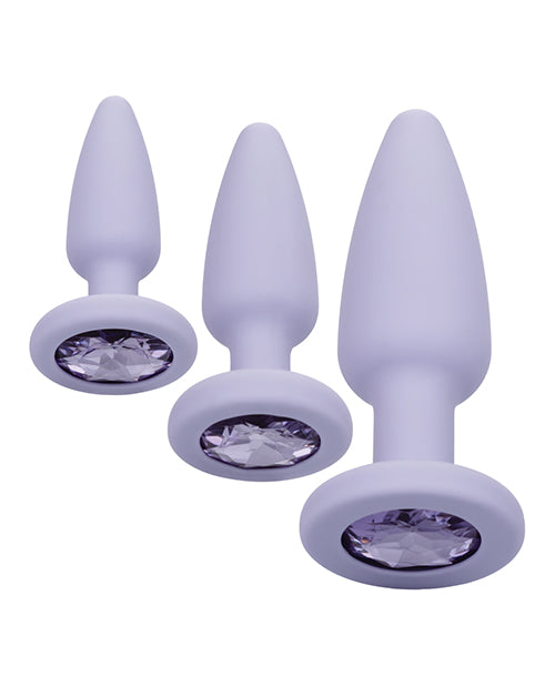 first-time-crystal-booty-kit-purple image