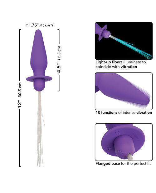 southern-lights-rechargeable-vibrating-light-up-anal-probe-purple image