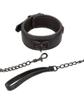 nocturnal-collection-detachable-collar-leash-black image