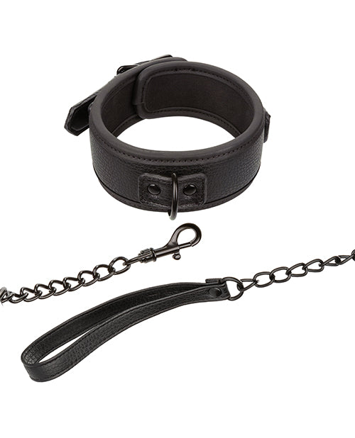nocturnal-collection-detachable-collar-leash-black image