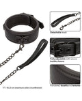 nocturnal-collection-detachable-collar-leash-black image