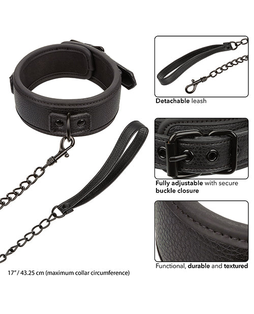 nocturnal-collection-detachable-collar-leash-black image