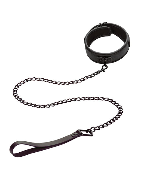 Nocturnal Collection Detachable Collar & Leash - Black