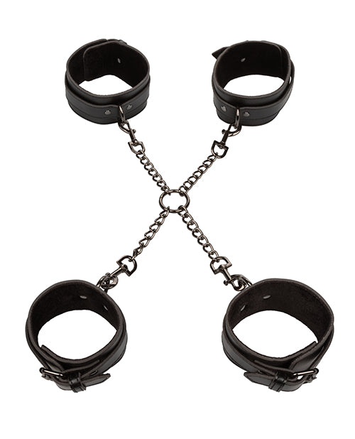 euphoria-collection-hog-tie image