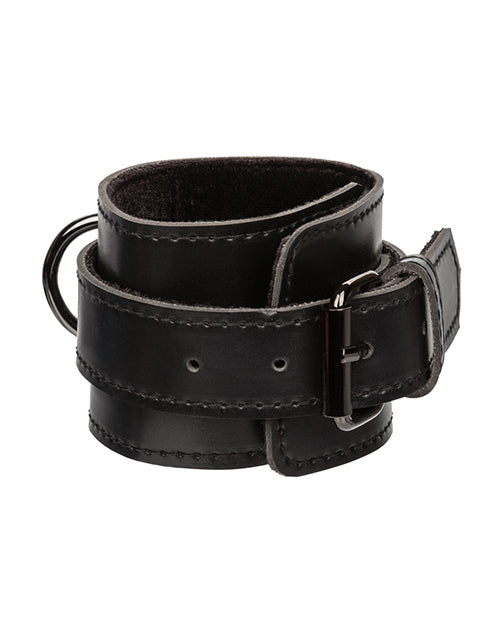 euphoria-collection-hog-tie image