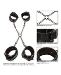 euphoria-collection-hog-tie image