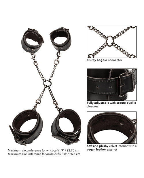euphoria-collection-hog-tie image