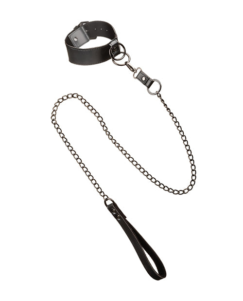 euphoria-collection-collar-wchain-leash image