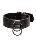euphoria-collection-collar-wchain-leash image