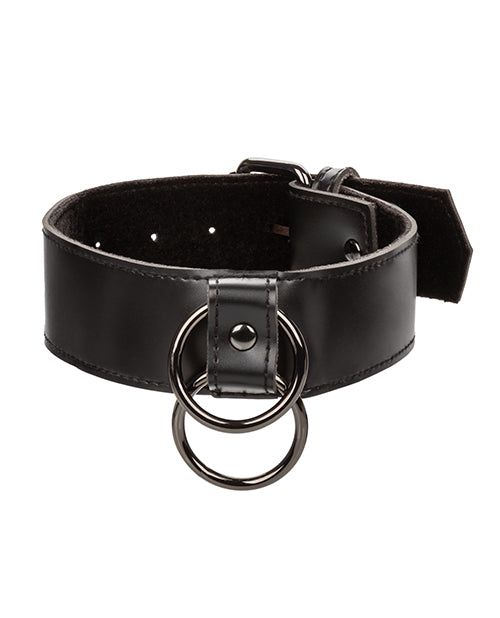 euphoria-collection-collar-wchain-leash image
