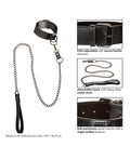 euphoria-collection-collar-wchain-leash image