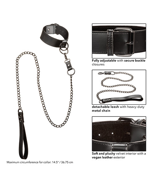euphoria-collection-collar-wchain-leash image