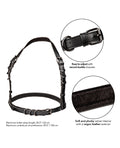 euphoria-collection-halter-buckle-harness image