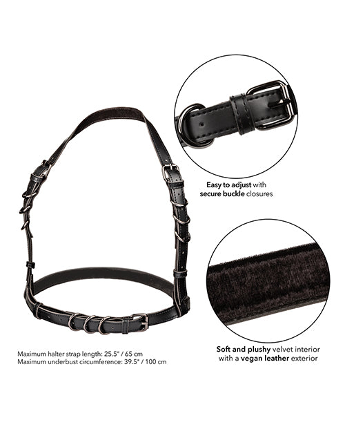 euphoria-collection-plus-size-halter-buckle-harness image