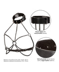 euphoria-collection-plus-size-multi-chain-collar-harness image