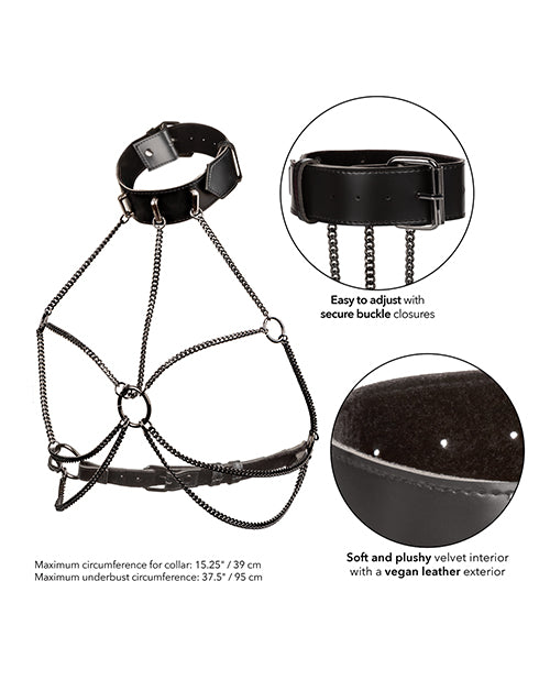 euphoria-collection-plus-size-multi-chain-collar-harness image