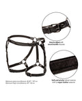euphoria-collection-riding-thigh-harness image