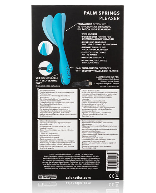 california-dreaming-palm-springs-pleaser-blue image