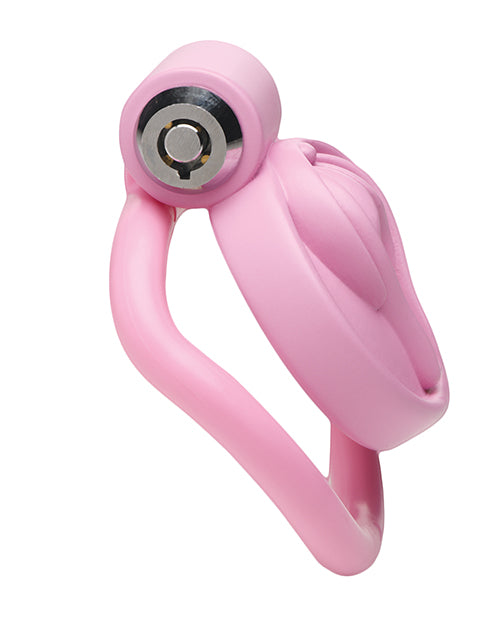master-series-pussification-vulva-locking-chastity-cage-pink image