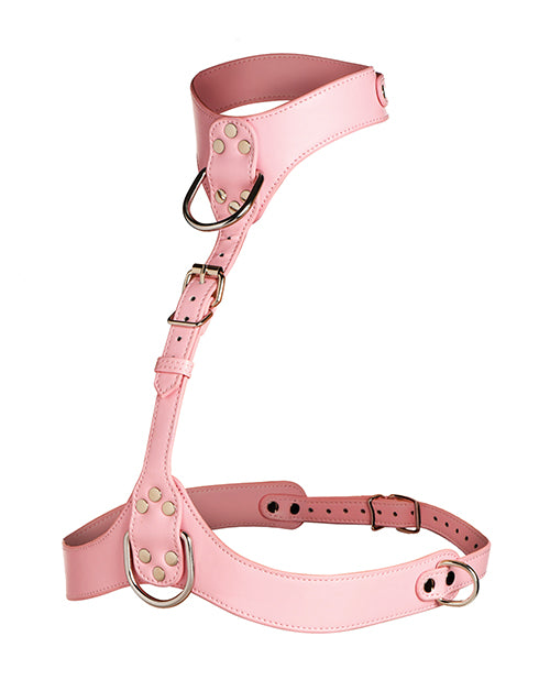 Vixen Female Chest Harness - Pink